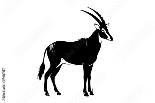 Sable antelope vector illustration, african wildlife animal silhouette design art