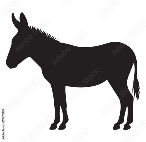 Donkey Vector