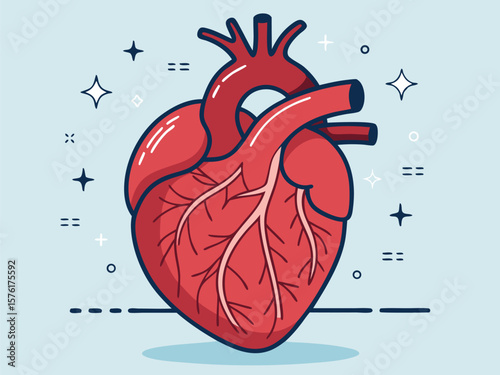 Human heart anatomy vector illustration with a red love symbol drawing