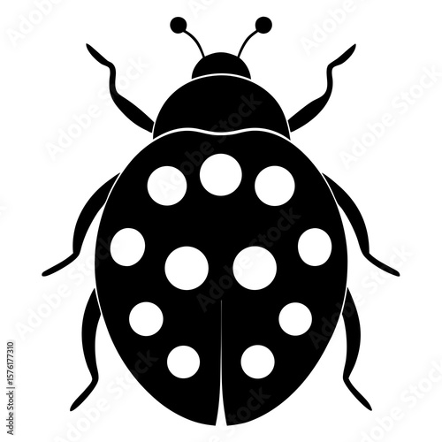 Black ladybug with white spots insect