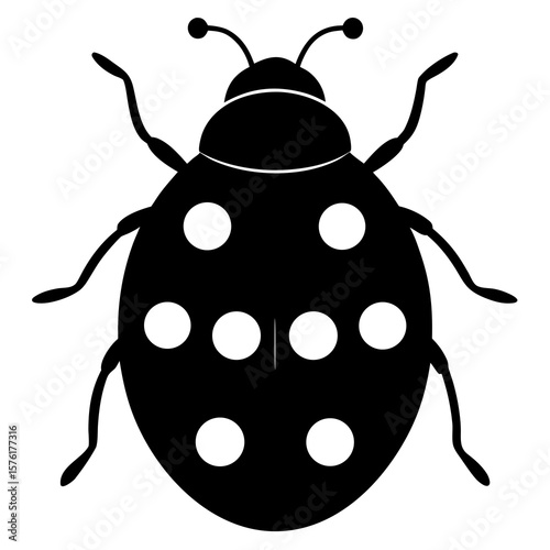 Black ladybug with white spots insect