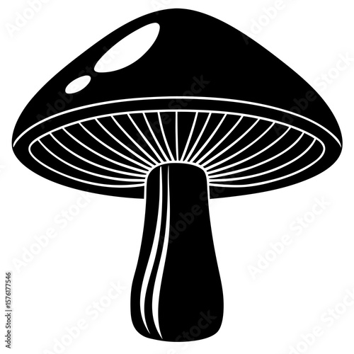 Black mushroom with white gills and stem fungus nature