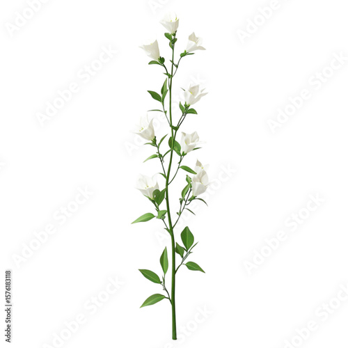 White flowers vibrant stem abstract background artistic floral design