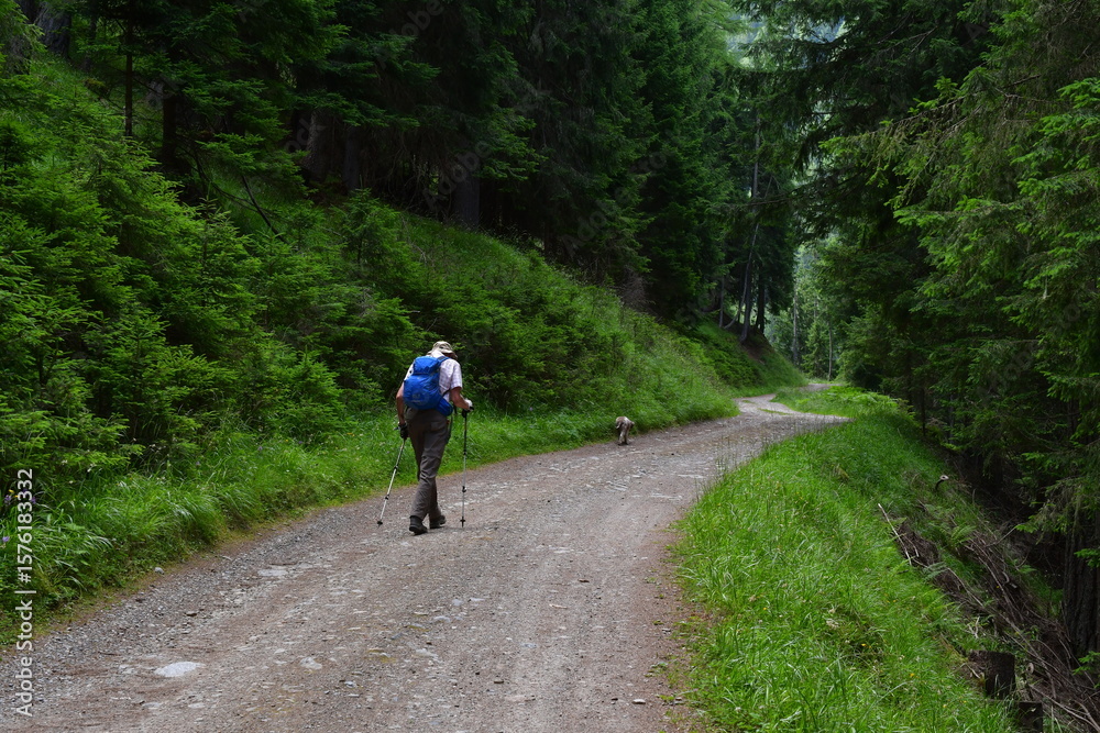 Obraz premium Mann wandert im Ultental in Südtirol 
