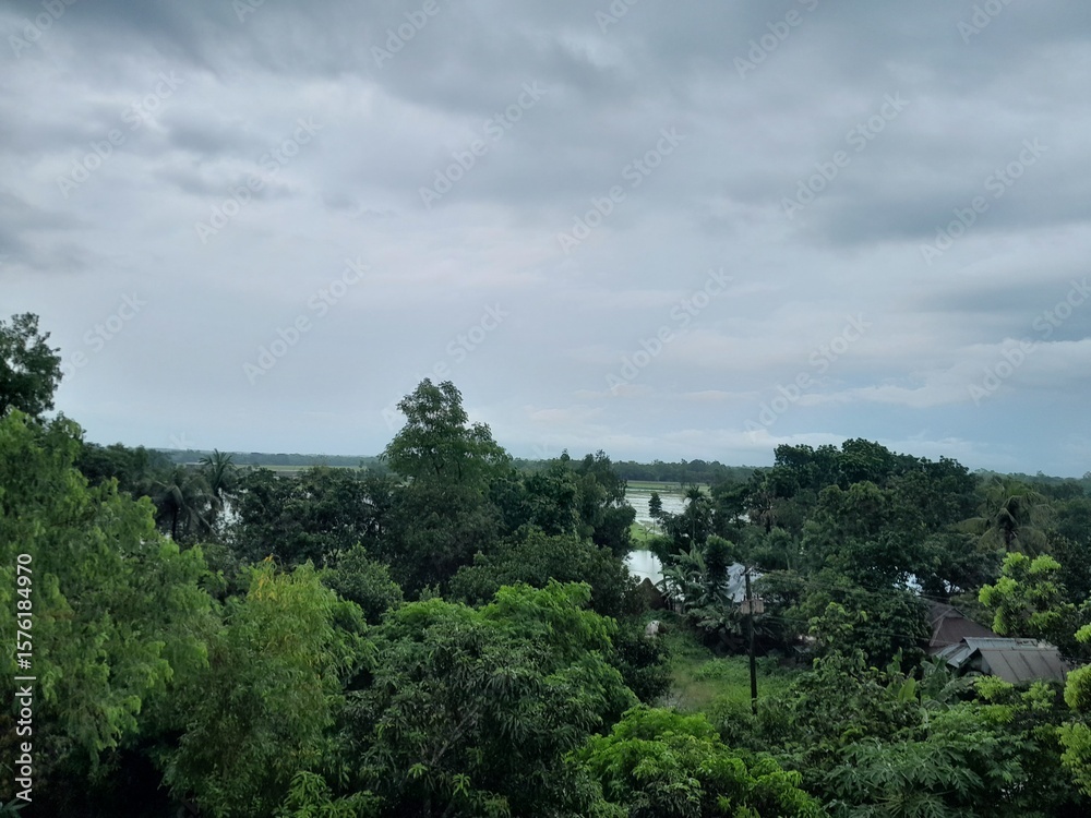 Obraz premium Green nature, and monsoon cloudy sky in Bangladesh. Greenery landscape with green trees. 