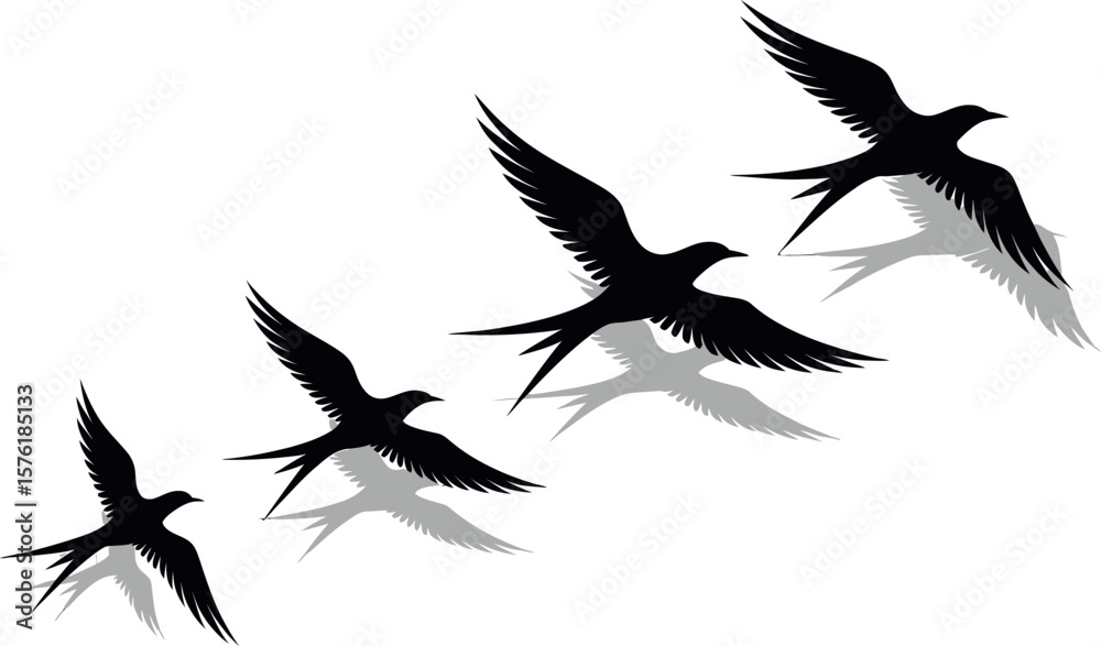 Fototapeta premium Silhouettes of four swallows in flight with subtle grey shadows on a white background