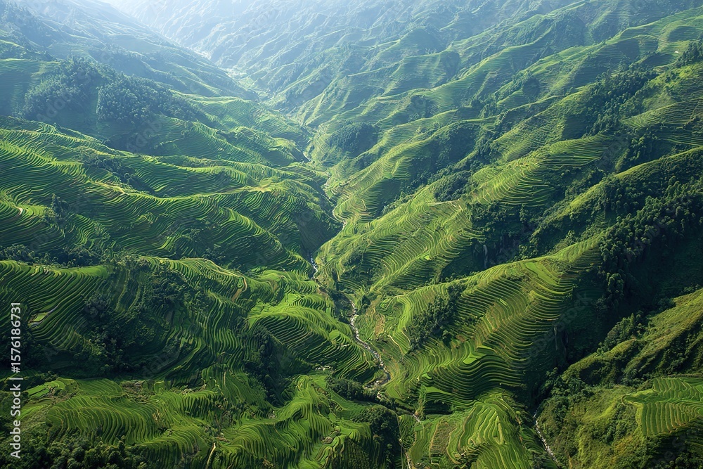 Naklejka premium aerial view of rice terraces carved into the hillsides in a remote valley