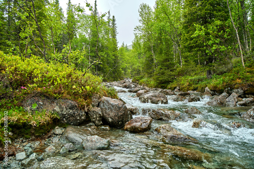 waterfall on a mountain river