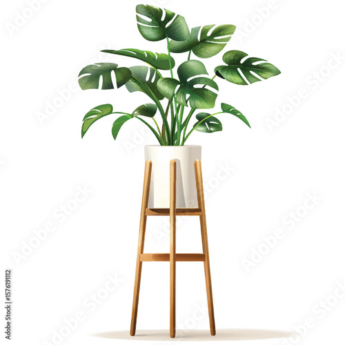 Vibrant Monstera Plant on a Stylish Wooden Stand