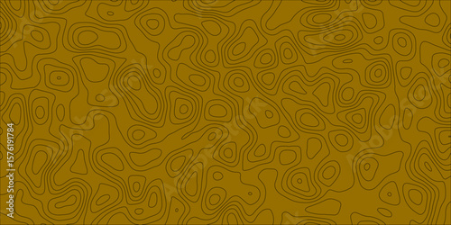 The Rhythm of Contours in a Weightless Universe

