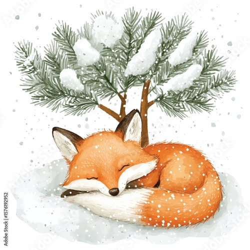 Sleeping Fox Curled in Winter Snow Under Snowy Pine