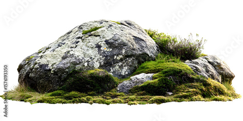 Mossy rock formation isolated on a black backdrop with greenery, showcasing nature
