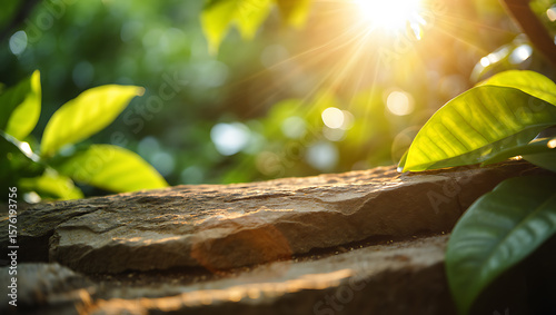 Wallpaper Mural Sunlit stone surface with green leaves rock texture Torontodigital.ca