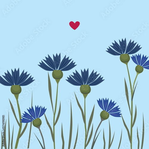 Cute blue cornflowers with a red heart. Floral background.