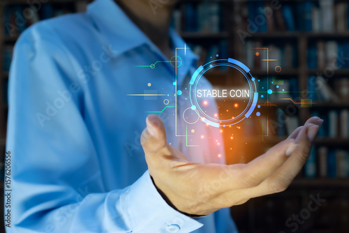 The concept of using stablecoins in the financial system