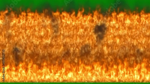 Intense fire wall animation with vibrant flames and green screen background for visual effects