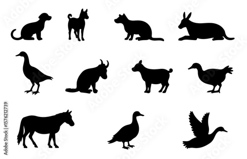 Silhouette Set of Pet and Farm Animal Group. Clean Vector Illustrations of Common Rural Animals for Posters, Apps and Packaging