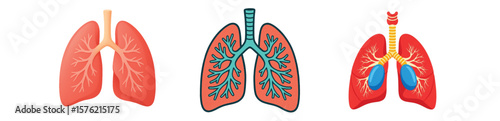 Colorful Human Lungs Illustrations – Medical Anatomy Diagram Art