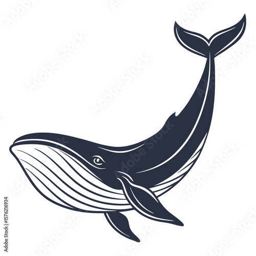 Stylized whale illustration showcasing the majestic marine mammal with smooth contours and detailed features capturing oceanic elegance and aquatic