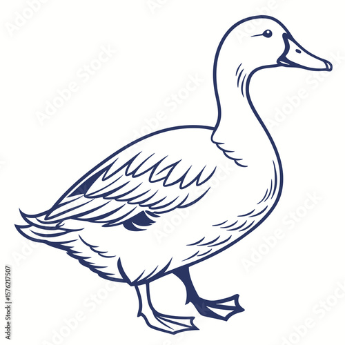 Elegant Line Drawing of a Geese with Detailed Feathering and Graceful Posture in a Minimalist Style for Artistic and Natural Themes