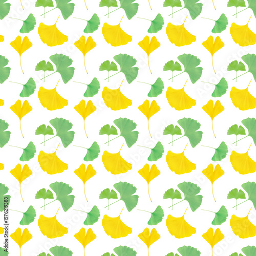 Pattern of multicolored ginkgo biloba leaves on a white background.