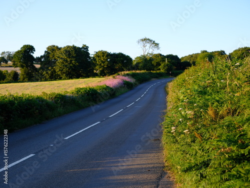 The open road in a Cornish landscape. Different views of small country roads close to Bodmin Moor on a warm summer evening. No cars or people.