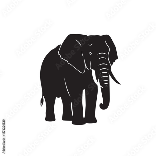 elephant silhouette isolated on white, standing, silhouette, white, isolated, large, big, safari