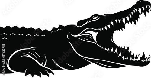 A fierce crocodile with its mouth wide open shows its teeth, isolated on white background