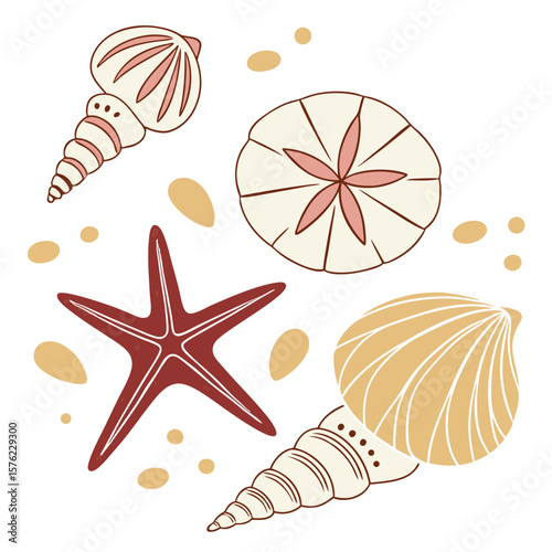 Stylized Minimalist Illustration of Seashells and Starfish with Organic Shapes and Soothing Colors for Coastal Theme Decor