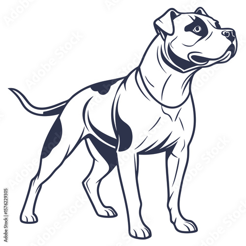 Elegant monochrome illustration of a muscular pit bull terrier standing confidently with attentive ears and expressive eyes showcasing alertness and