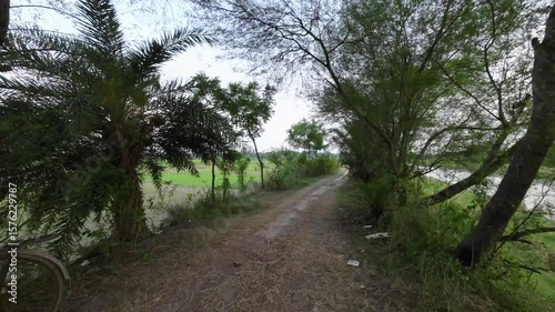 Village Lake Side Road with Trees and Farmland – Rural West Bengal