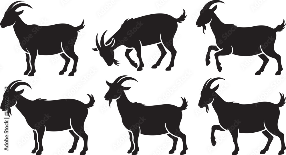 Fototapeta premium vector illustration of goat