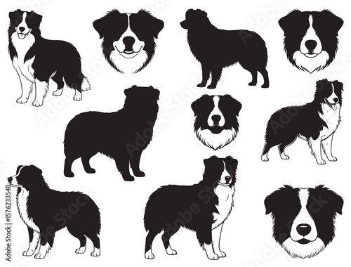 AUSTRALIAN SHEPHERD DOG SILHOUETTE