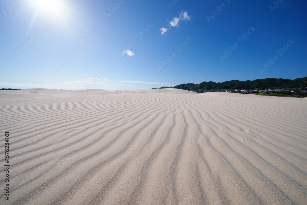 Naklejka premium A wide shot of a vast sand dune landscape under a bright blue sky with scattered clouds and distant trees