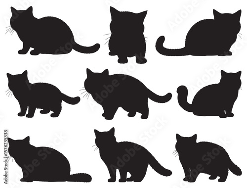 BRITISH SHORTHAIR CAT SILHOUETTE.