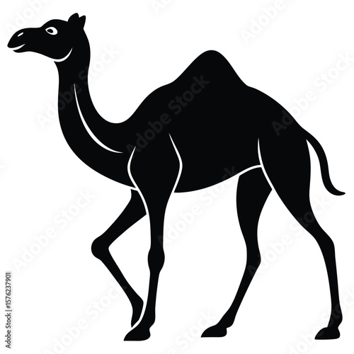 camel vector illustration