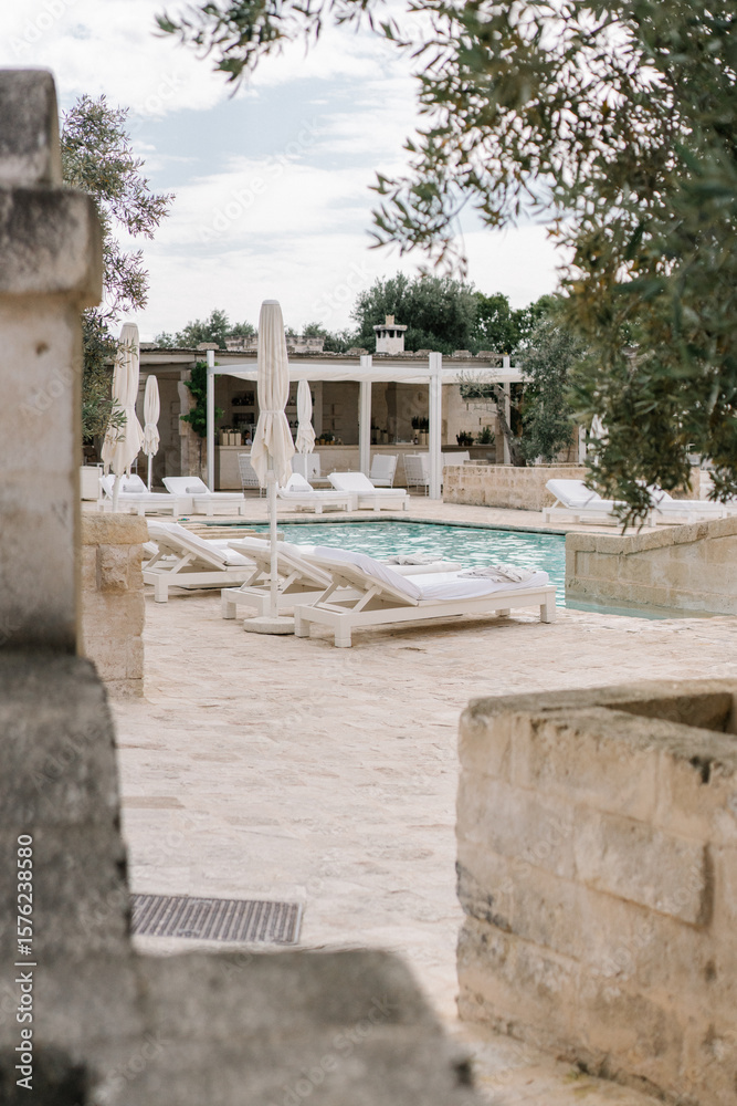 swimming pool in the luxury resort with olive trees swimming pool in the luxury resort with olive trees