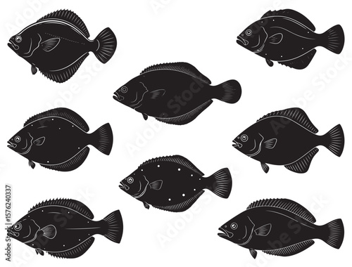 FLOUNDER FISH SILHOUETTE