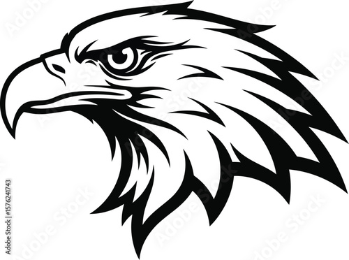 A strong eagle head in profile, isolated on white background, represents freedom and vision