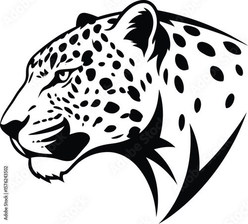A jaguar head in profile shows its distinctive spots, isolated on white background