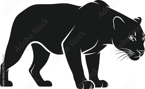A muscular panther stands alert, isolated on white background, showcasing its power and intensity