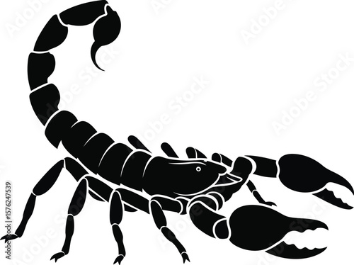 A poised scorpion, its segmented body and curved tail showcasing its unique anatomy and predatory adaptations, isolated on white background