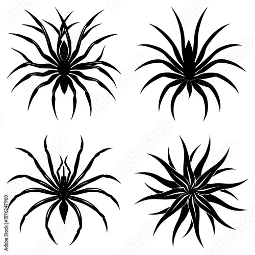 Four stylized black spiders with long legs arranged in a square pattern on white background design art