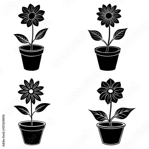 Four black and white flower illustrations in pots with leaves and detailed petal designs arranged in a grid