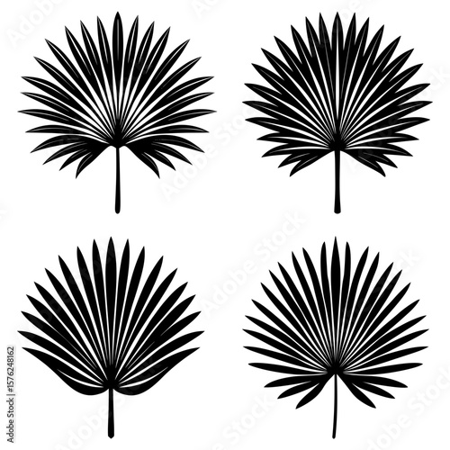 Four black palm fronds with radiating leaves arranged symmetrically on a white background in a square layout