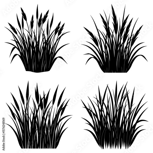 Illustration of four clumps of tall grass with thin blades in a black silhouette on a white background
