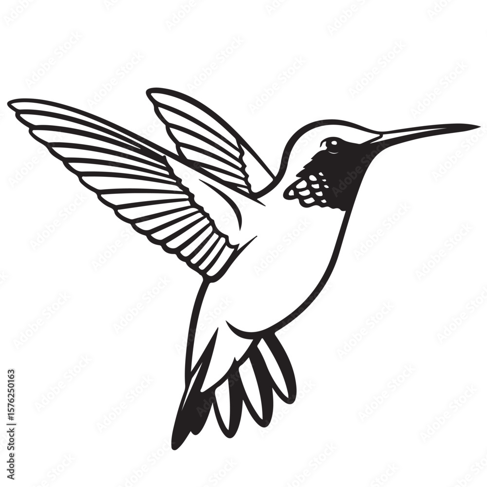 Obraz premium Hummingbird vector illustration, black and white line art, elegant design element