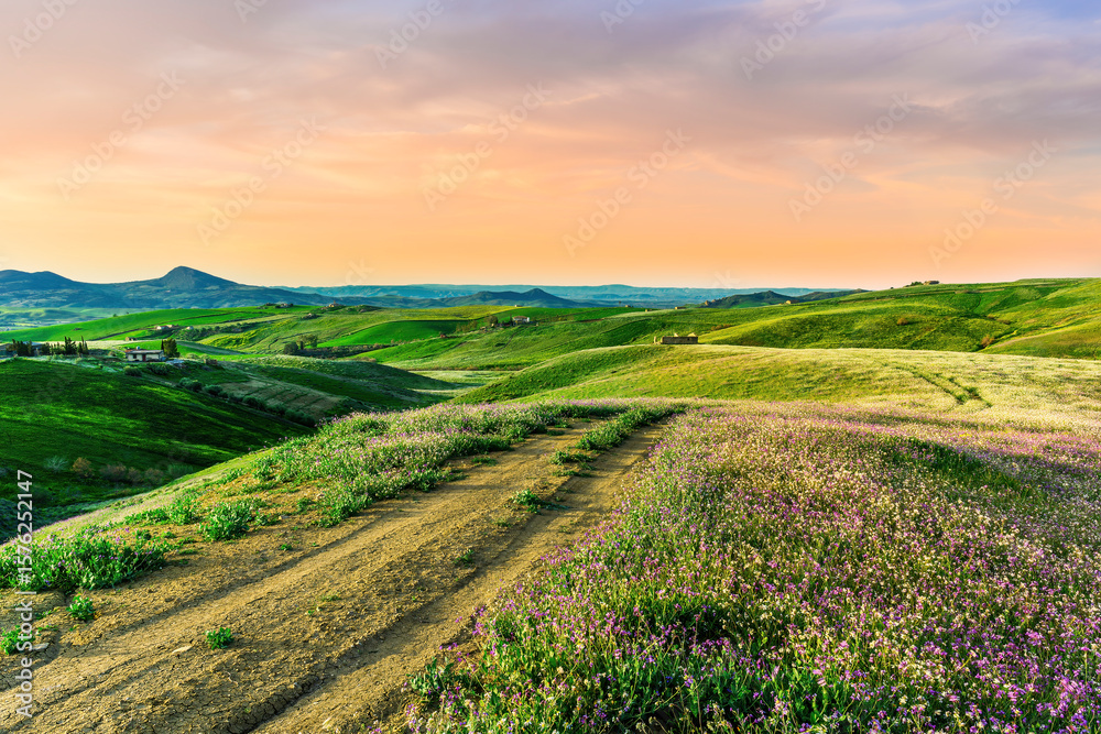 Obraz premium beautiful green evening meadow with bloom flowering field during amazing spring sunset among hills and farms with beautiful mountains with evening sky on baclground
