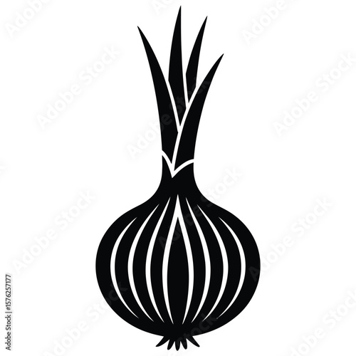 onion isolated on white