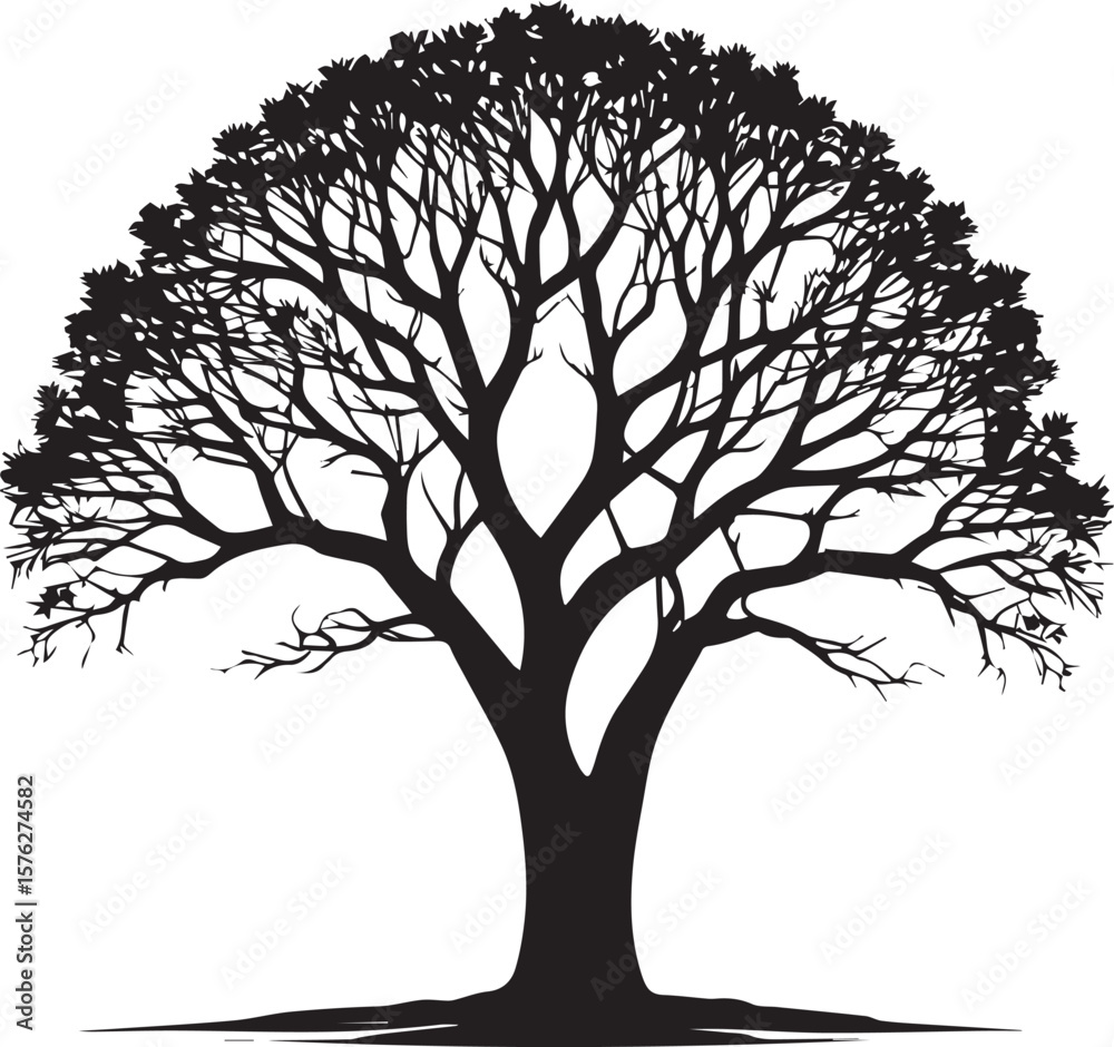 Fototapeta premium Tree silhouette Vector | Minimalist & Trendy Tree Silhouette Design | Unique & Stylish Tree Artwork for Vector design